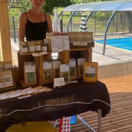 Mobil Confortable Avec Terrasse En Charente-maritime - Api-1-52-690 Campingplatz *