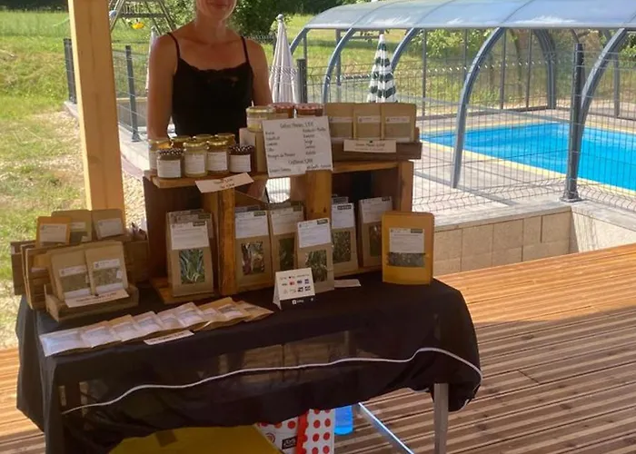 Mobil Confortable Avec Terrasse En Charente-maritime - Api-1-52-690 Camping *