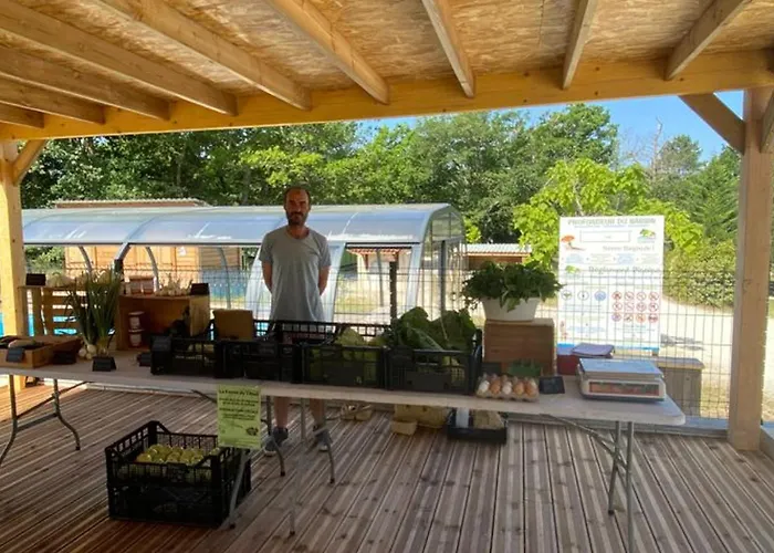 Mobil Confortable Avec Terrasse En Charente-maritime - Api-1-52-690 Le Fouilloux